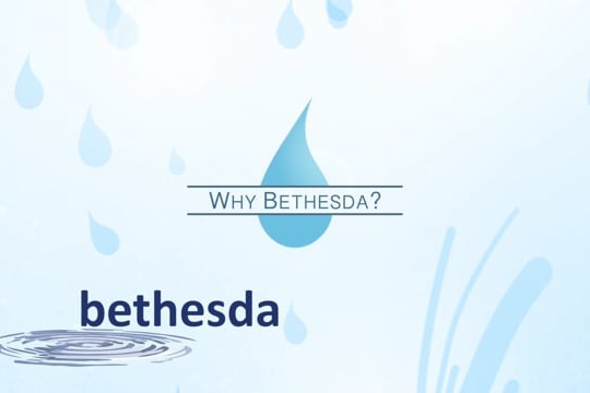 Bethesda Village