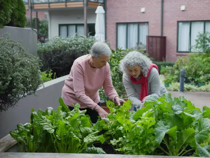 Bupa Glenburn Retirement Village