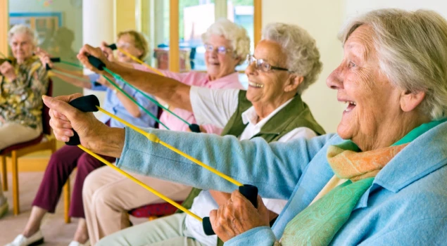 Kaiapoi Lodge Residential Care