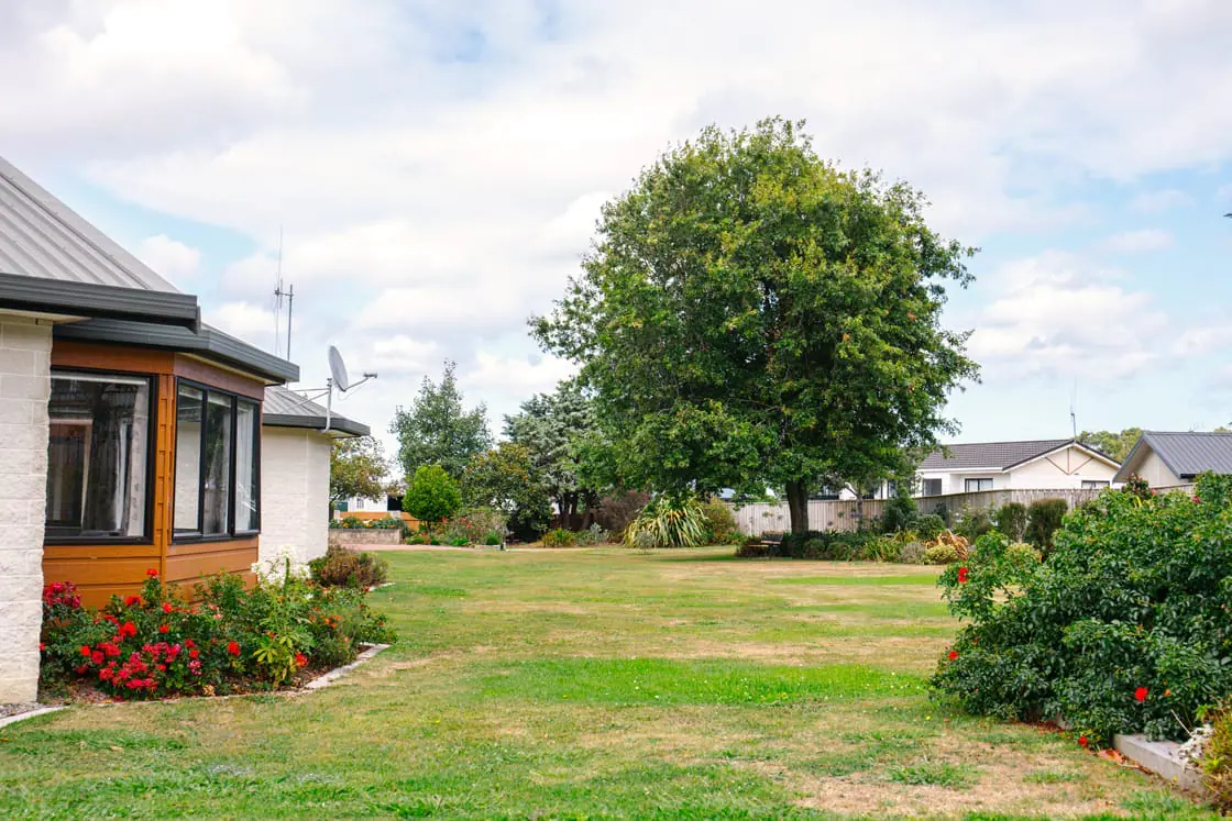 Radius Peppertree