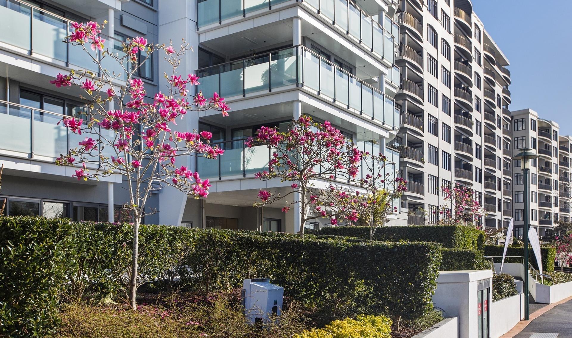 Remuera Rise Village