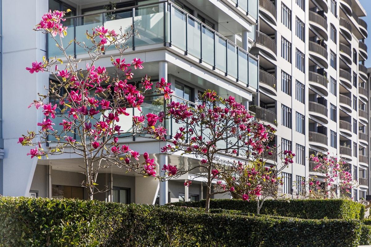 Remuera Rise Village